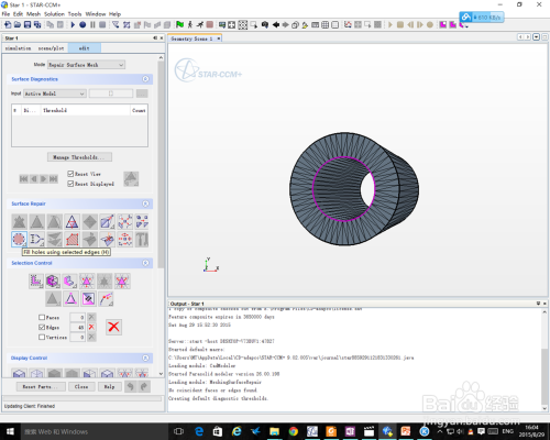 Star-CCM+提取流体域教程的图4